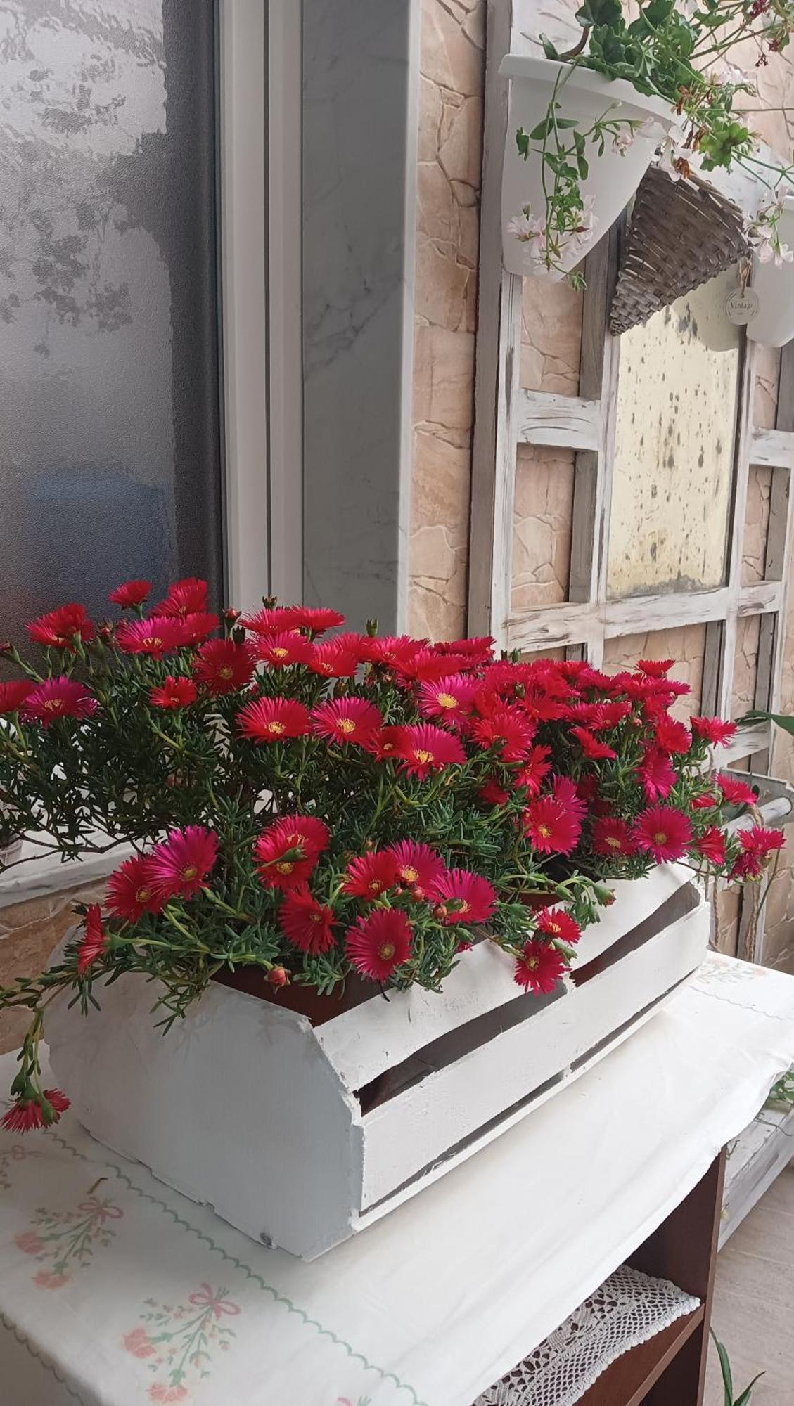 Le 3 Dee Reggio di Calabria Quarto foto